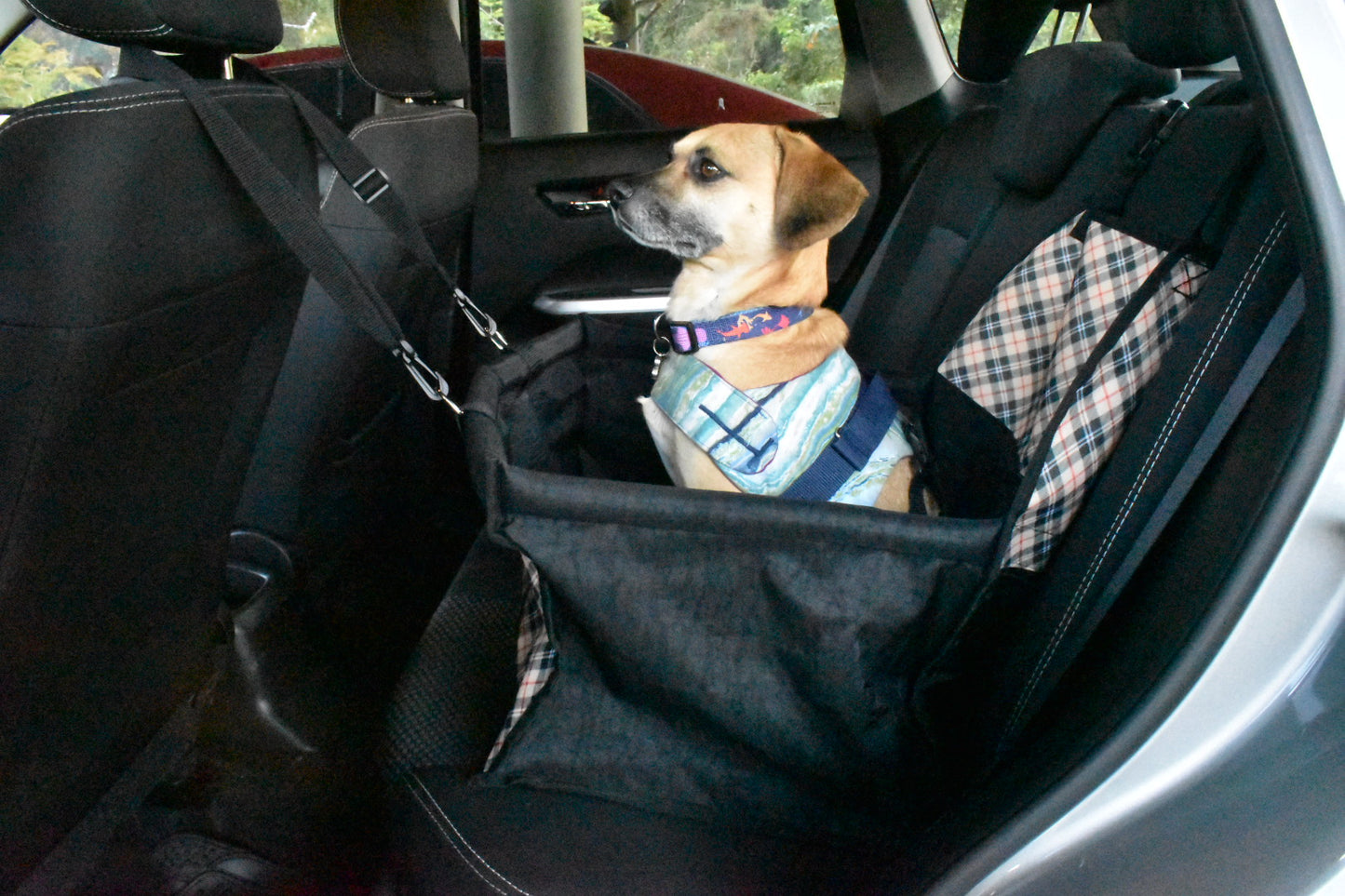 Silla de Carro para Mascotas | Asiento Portátil para Perros y Gatos