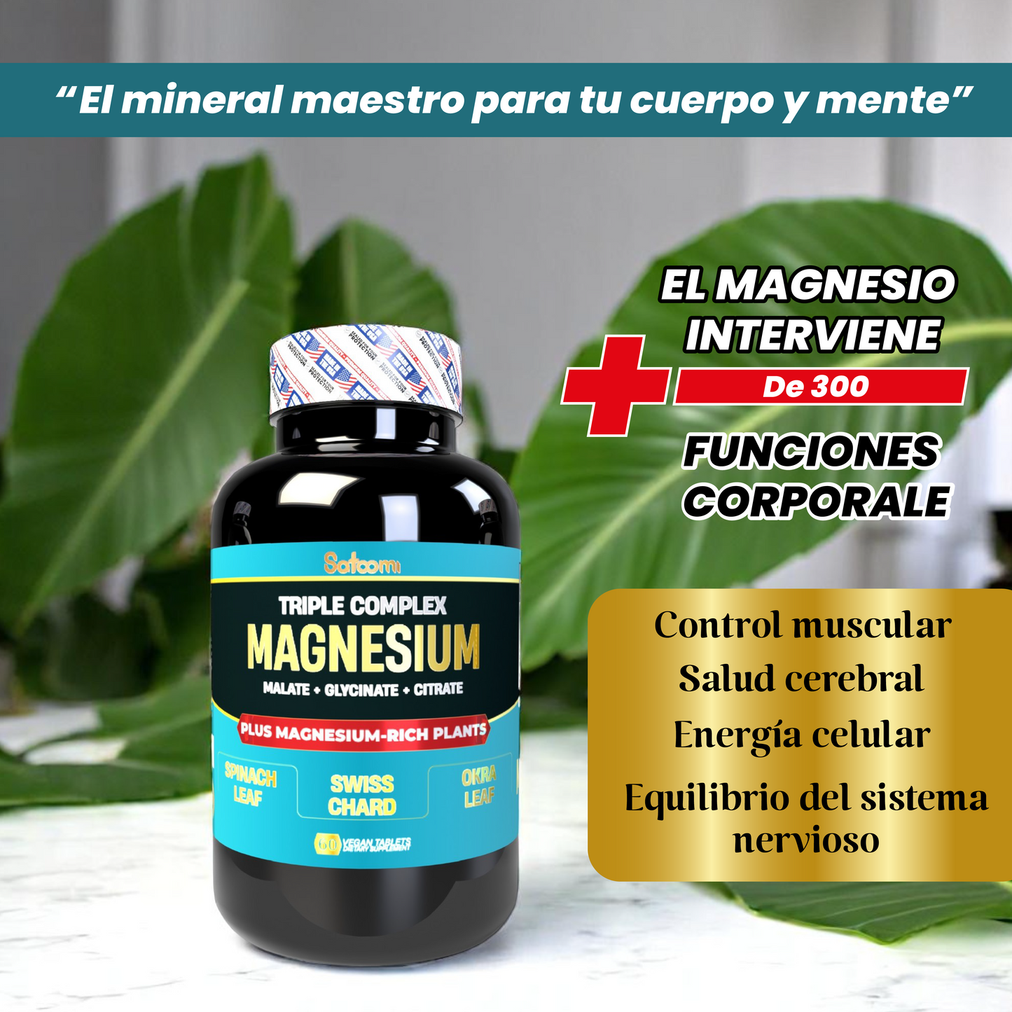 Citrato de Magnesio Americano Triple Complex + Proteína Vegan | Magnesio Malato, Glicinato y Citrato