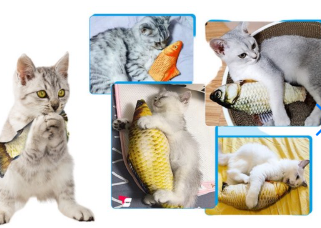 Pez con Movimiento para Gatos Recargable USB