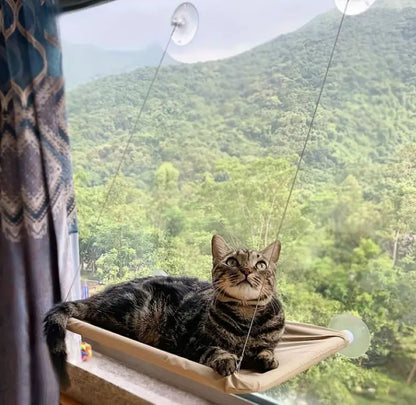 Hamaca para Gatos de Ventana con Ventosas