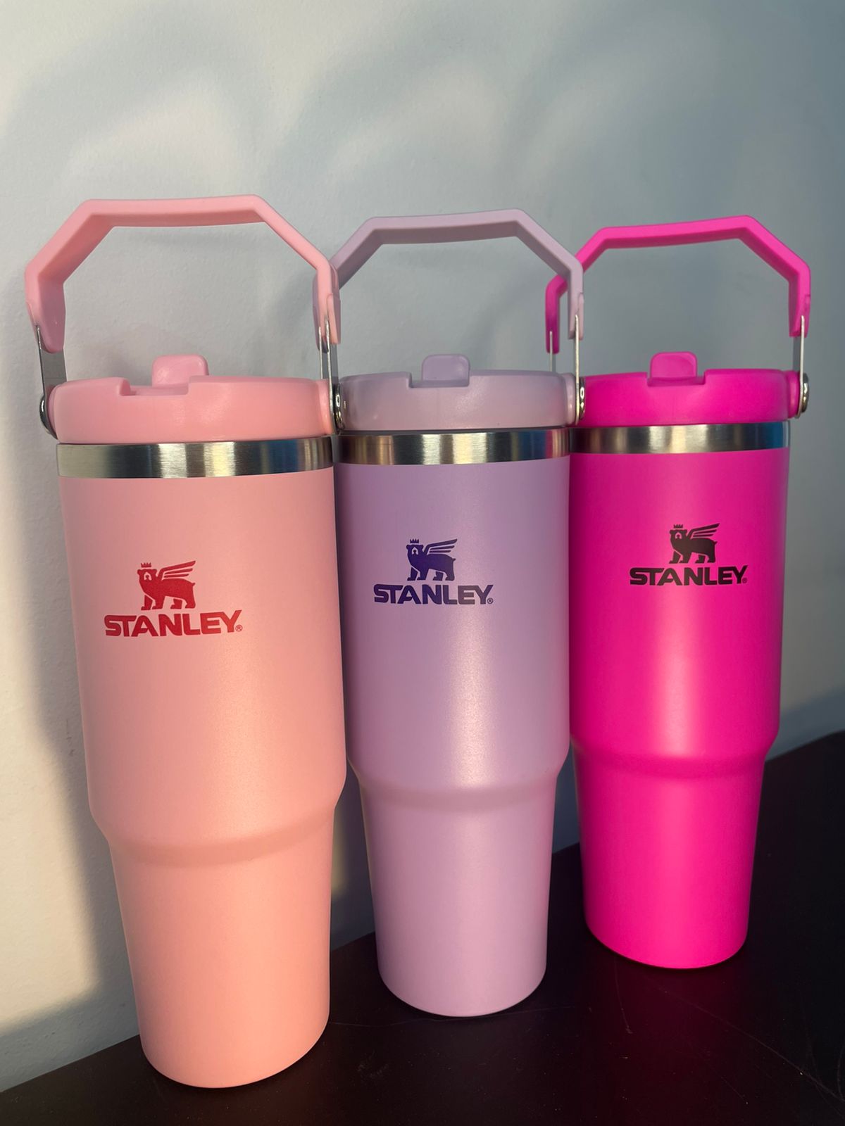 Termo Stanley Ice Flow 30 oz